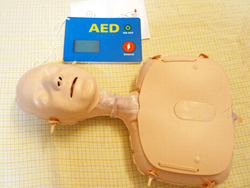 CPR&AEDパーソナルトレーニングキット　ミニアンイメージ２